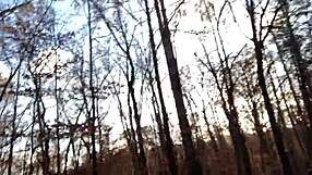 Clitlicker662 update 21 img 1257 nov 26 2024 outdoor solo