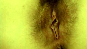 American hair pie volume 8 scene 3 features bent over fucking with cum in mouth and ball licking