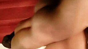 sundaydogood614 update 291 vid 20240704 024459 jul 04 2024