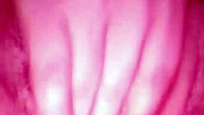 Amateur big cocked guy masturbates and sends underwear cam shots on WhatsApp