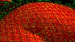 Kanedamaaka Excitedly Ruins My Tights in Couple Fun