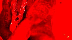 Hallelujah Johnson worships huge black cock with passion