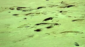 Gorgeous teen 18+ agnes bathes her beautiful naked body in the ocean