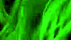 Blonde Babe Licks Balls and Sucks Sloppy Blowjob, Spanking Big Tits and Ass to Christmas Orgasm