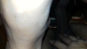 ass up for digging, where's the nugget?