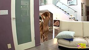 A day by the pool got these skinny brunette bitches kissing and playing.