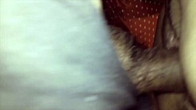 ass up for digging, where's the nugget?