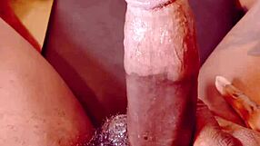 Late night tip, BBC, humiliation, follow bio links