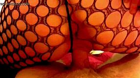 Sexy Ass Girl In Lingerie Panties Fishnets Takes Big Cock In Anal Asshole