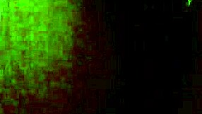 Ebony beauty performs striptease with clothes ripped, revealing wet pussy