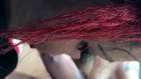 mixed bbw sucking dick in homemade scene