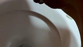 another day at the gym with fitness routines