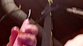 Intriguing Verification Process Unveiled