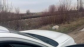 I crave licking milfycalla's tight pussy and cumming hard on her