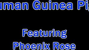 Dr Tampa Experiments on Human Guinea Pigs Like Phoenix Rose!