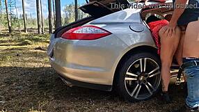 i got caught banging a hot milf in the forest yesterday.