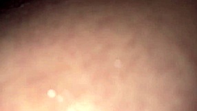 Brought a tourist to my hostel and fucked in the bathroom!