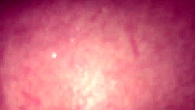 Toerist meegenomen naar mijn hostel en geneukt in de badkamer!