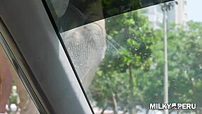 Greta Sweet Fucks Enterprising Fan in Public Christmas Outdoor Casting