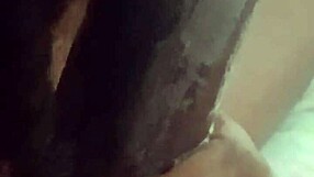 Jill wettmout gives sloppy blowjob close up on big black cock