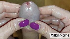 Loving the milking time with British mistress handjob on monster cock