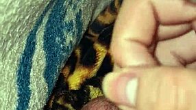 At dawn, hidden under the blankets, it happened