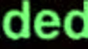 gordita checks into mexican hotel for a quiet stay