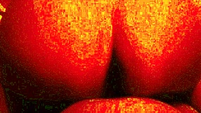 gordita checks into mexican hotel for a quiet stay