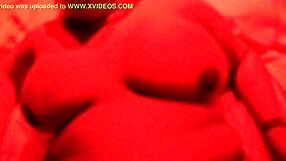 gordita checks into mexican hotel for a quiet stay