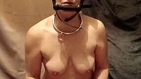 Look at This French Slut in Outdoor Ponygirl Action and Uro Play!