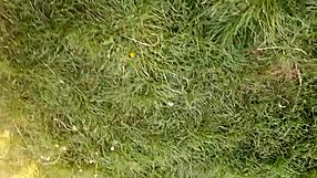 Village girl masturbates hairy pussy during lunch break, achieving intense orgasm