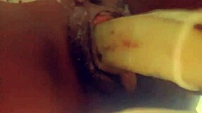 Fresh veggie delights!