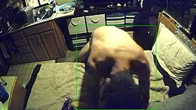 I feel so good when hubby fucks my ass bent over in doggystyle