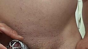 Yetike - update 15 - 20250502 220913 - may 08 2025