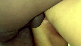 I wrecked her fat ass