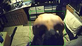 I feel so good when hubby fucks my ass bent over in doggystyle