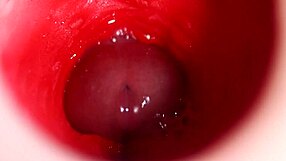 Telecamera riempita di sperma nel miglior sborrata anale interna 4K!