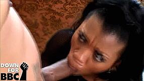 Sydnee Capri Worships That Huge Ass!