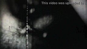 i cherish this vintage erotic art collection