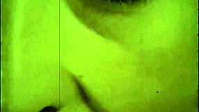 the wonderful world of vintage pornography vintage hairy milf