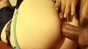 the wonderful world of vintage pornography vintage hairy milf