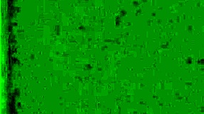 the wonderful world of vintage pornography vintage hairy milf