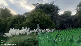 Me Cachan Cogiendo En El Parque A Plena Luz Del Día