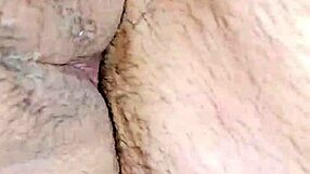 أنال سابروسو يغري بلعب مؤخرة منزلي قوي