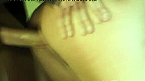 pornstar abby cross shines in costume cutie role