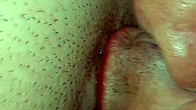 Συλλογή μεγάλων υγρών μουνιών με τρελό καύλο και νόστιμο σκουίρτ