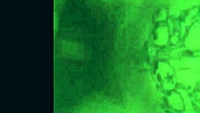 Sloppy Blowjobs On Monster Cocks Compilation