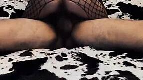 Hey, check out my wife riding cowgirl style in a sexy mesh bodysuit at home!