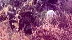 Perfekta pattar byflicka slappnar av i bäcken