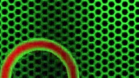 Natalia Starr Drills Tight Pussy With Glass Dildo